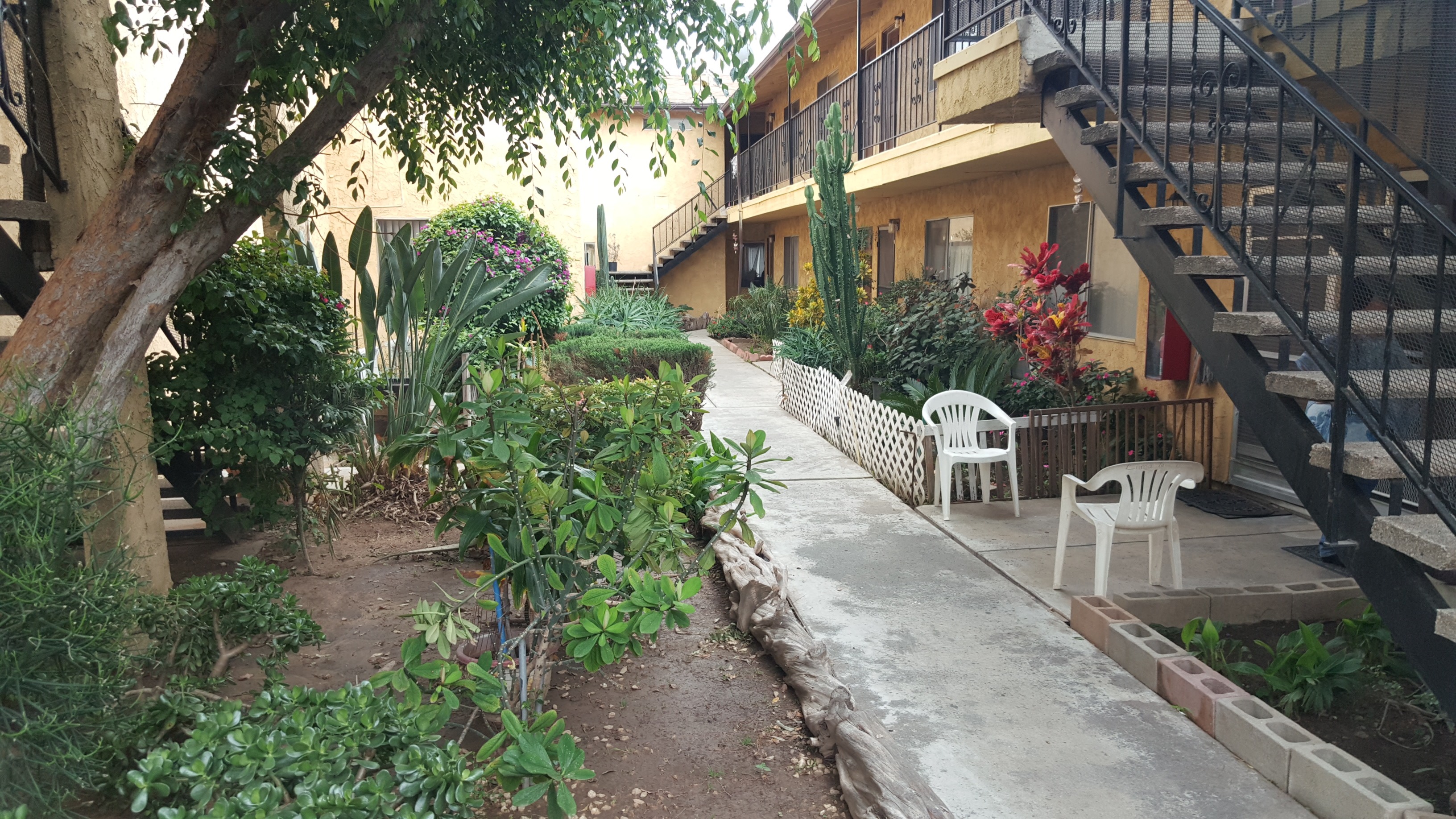 A garden with a white chair and a tree in the foreground.